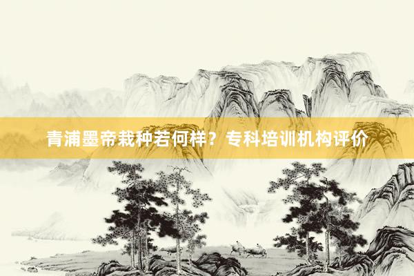 青浦墨帝栽种若何样？专科培训机构评价